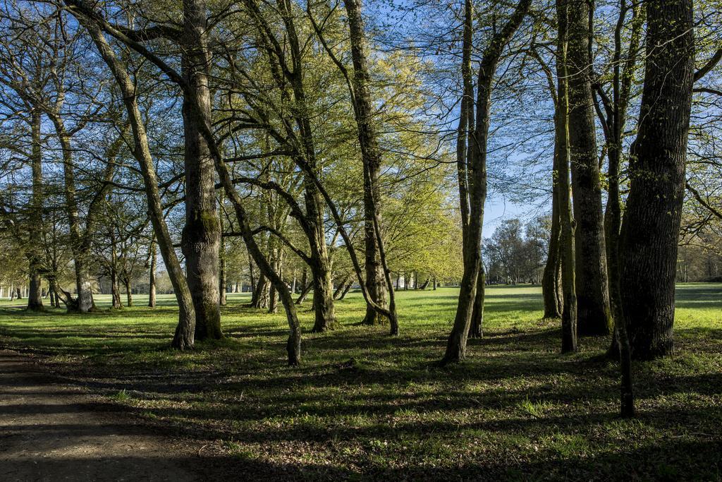 Chateau Des Briottieres Champigné Kültér fotó